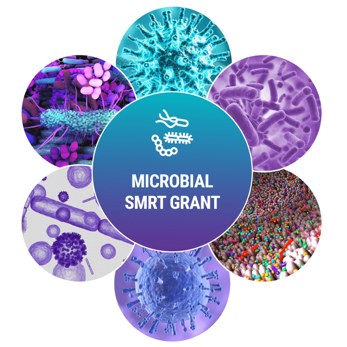 2024 Microbial SMRT Grant logo