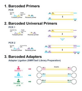 Illustrations of barcoded primers, barcoded universal primers, and barcoded adaptors.