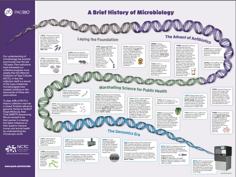 History Of Microbiology Poster - PacBio