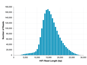 Product_Sequel IIe System_Long Read Length - PacBio