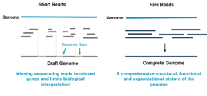 Sequencing 101: The Evolution Of DNA Sequencing Tools - PacBio