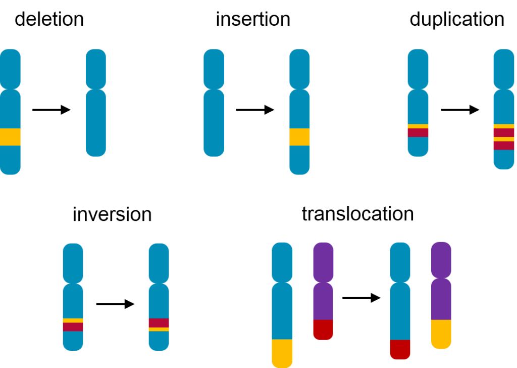 Structural Variation - PacBio