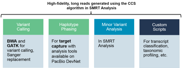 Targeted Sequencing - SMRT Analysis - PacBio