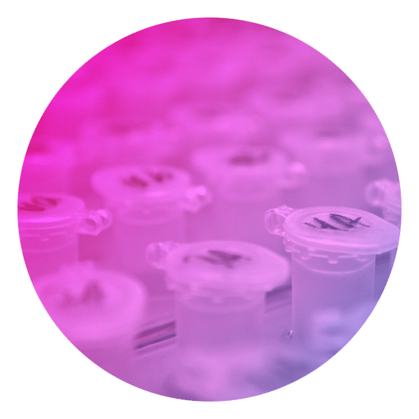 pink roundel image of rack of closed sample vials for AAV