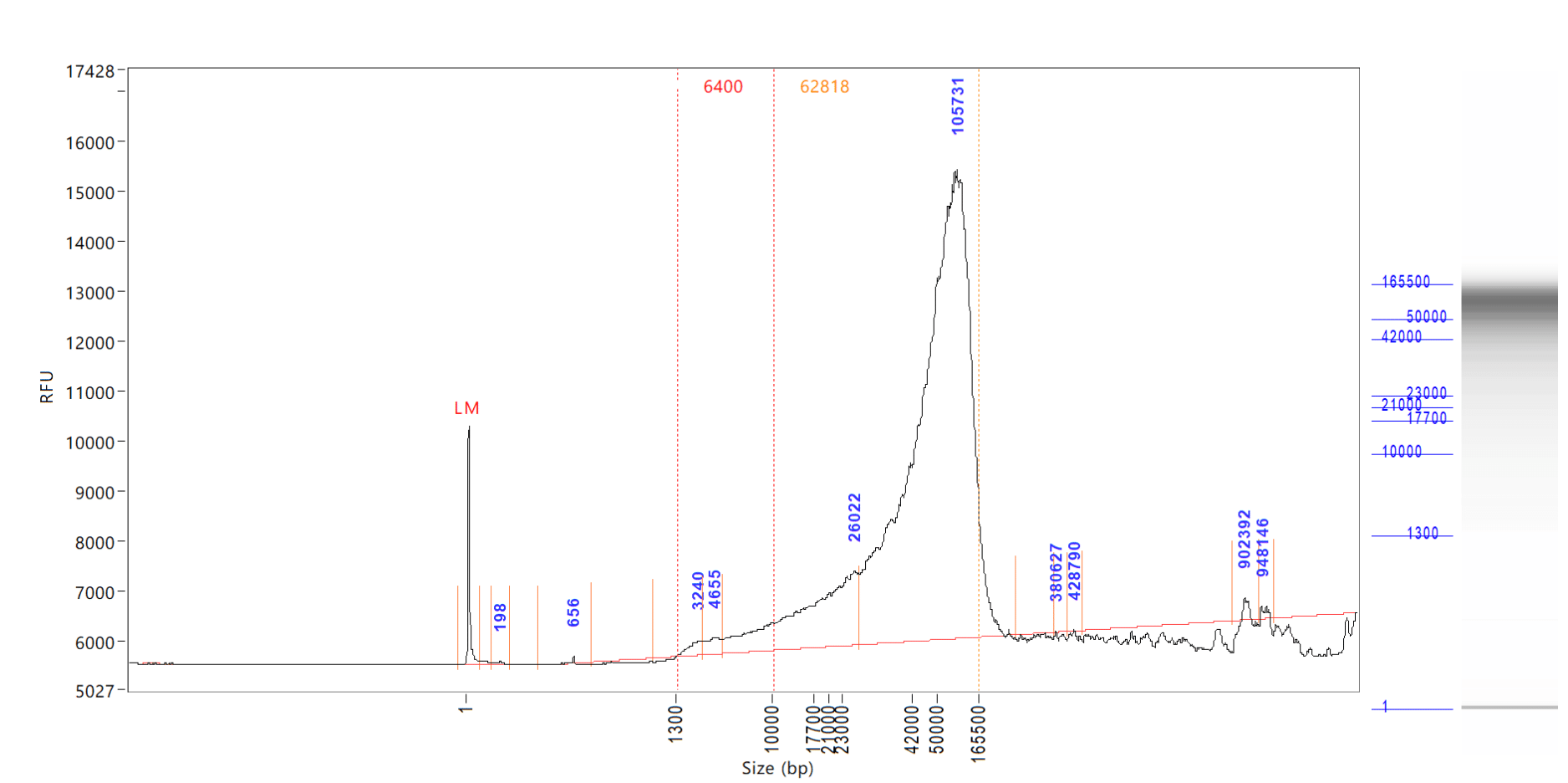 DNA sizing QC analysis of Saliva sample extracted with Nanobind kit on the Femto Pulse system (Agilent technologies)